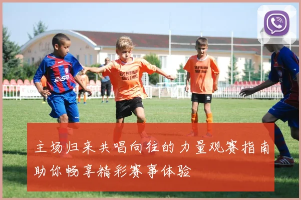 主场归来共唱向往的力量观赛指南助你畅享精彩赛事体验