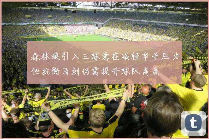 森林狼引入三球意在减轻华子压力但抗衡马刺仍需提升球队高度