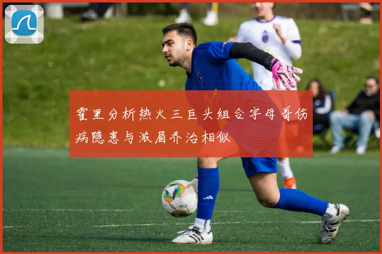 霍里分析热火三巨头组合字母哥伤病隐患与浓眉乔治相似