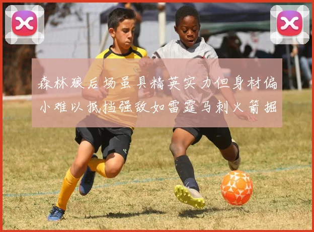 森林狼后场虽具精英实力但身材偏小难以抵挡强敌如雷霆马刺火箭掘金