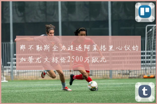 那不勒斯全力追逐阿莱格里心仪的加蒂尤文标价2500万欧元